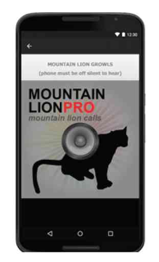 Mountain Lion Calls - Sounds 3