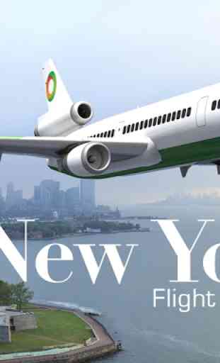 New York Flight Simulator 1