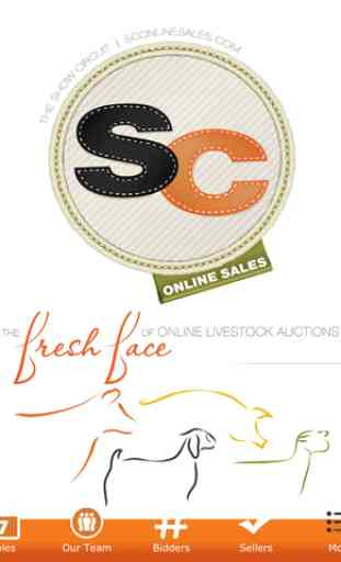 SC Online Sales 4