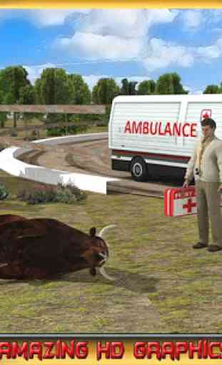Animal Hospital: Bus Service 4