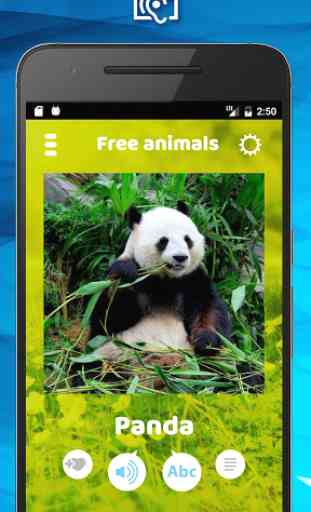 Animal Sounds & Pictures Free 3