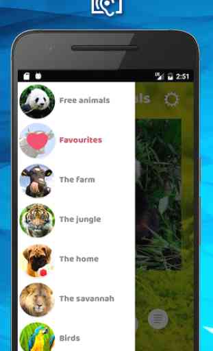Animal Sounds & Pictures Free 4