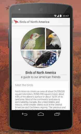 Birdlife of North America Free 1