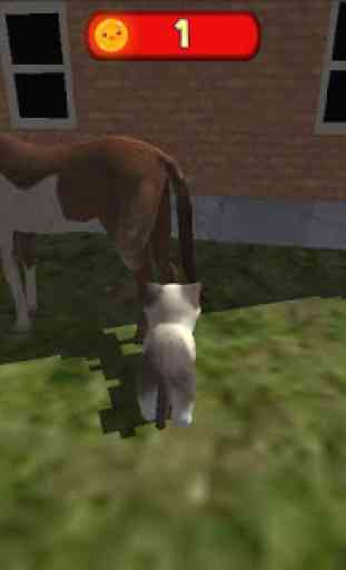 Cat Simulator Rider Kitty 2