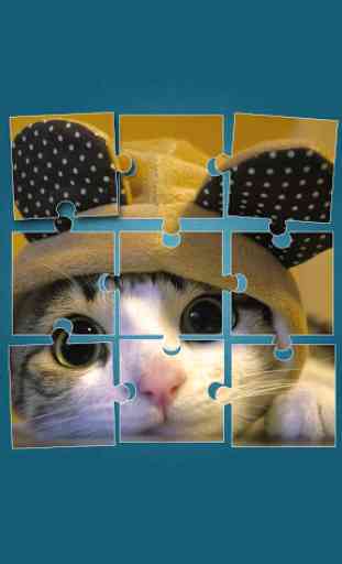 Cute Cats Jigsaw Puzzle 1