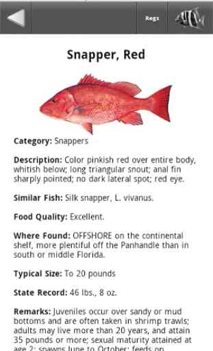 FL SW Fishing Regulations 3