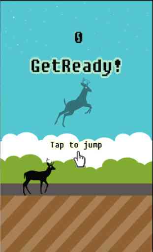 Gazelle Jumps 1