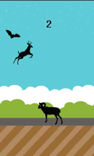 Gazelle Jumps 4