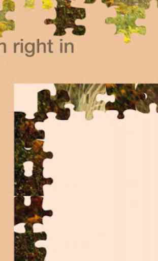 Jigsaw Puzzles: Best Vol 2 3