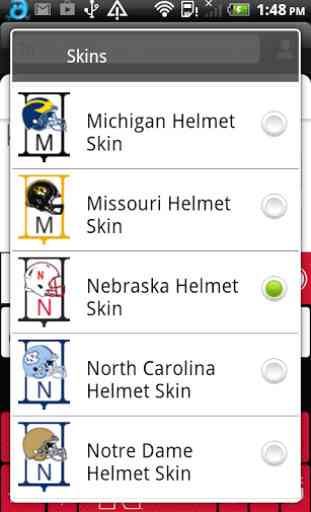 Nebraska Helmet Skin 3