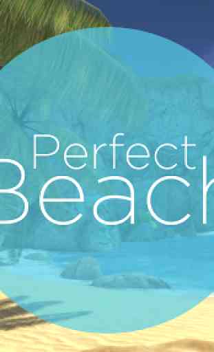 Perfect Beach VR 1