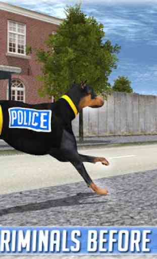 police dog criminal chase 4