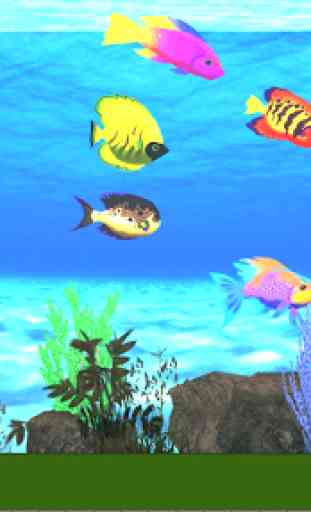 Real aquarium virtual  2