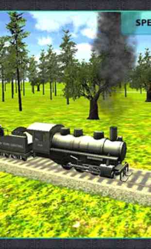 Real Train Driver Simulator 3D 1