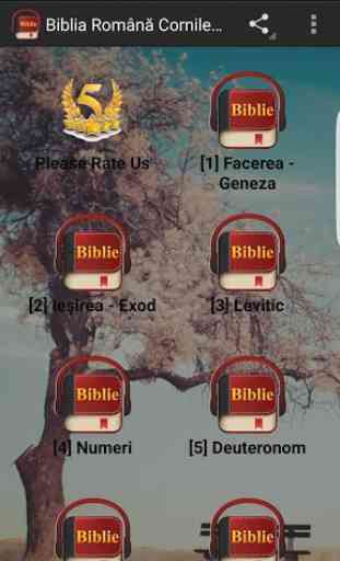 Romanian Bible Version 1