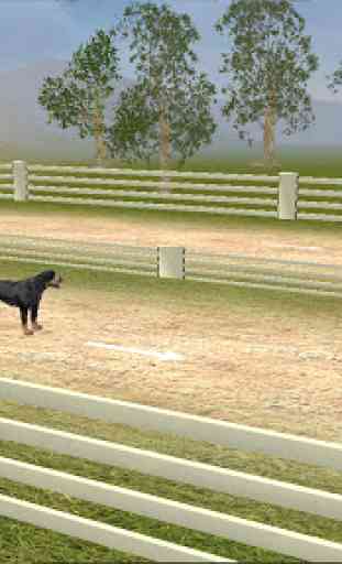 Rottweiler Dog Life Simulator 4