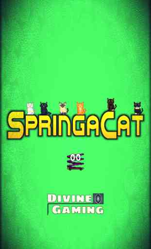 SpringaCat 1