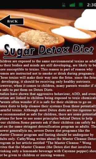 Sugar Detox Diet 2