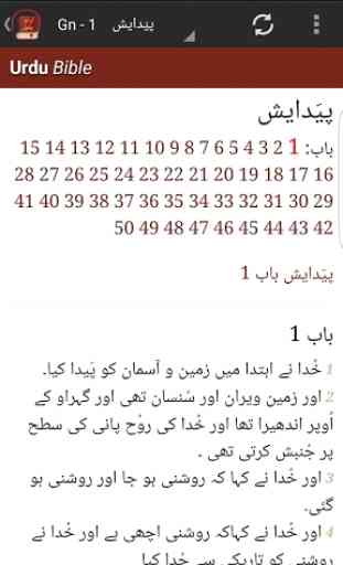 Urdu Bible 3