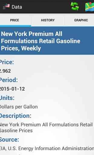 USA Fuel Price 3