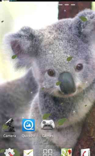 Baby Koala Live Wallpaper 1