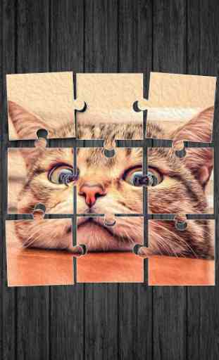 Cute Cats Jigsaw Puzzle 1