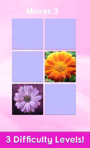 Flower Memory - Free 3