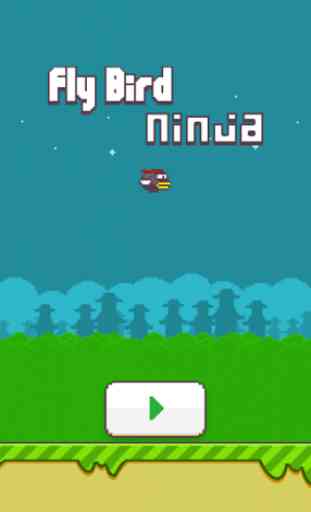 Fly Bird Ninja 1
