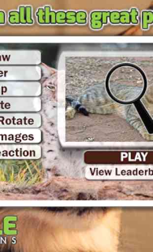 Free Wild Cats Puzzles 1