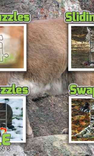 Free Wild Cats Puzzles 3