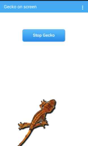 Gecko On Screen 3