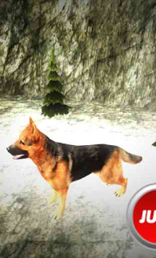 German Shepherd Dog 3