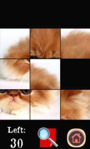 Grumpy Cat Puzzle Game 2