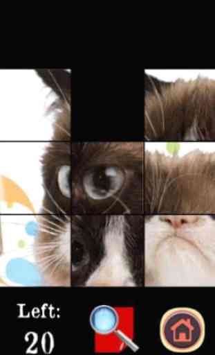 Grumpy Cat Puzzle Game 4