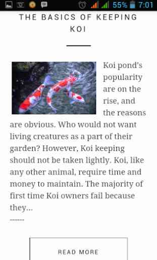 Koi Fish Guide 2