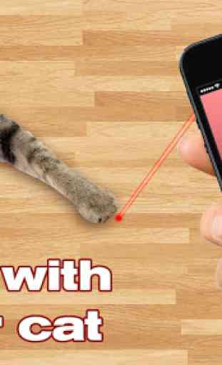 Laser For Cats: New Prank 1