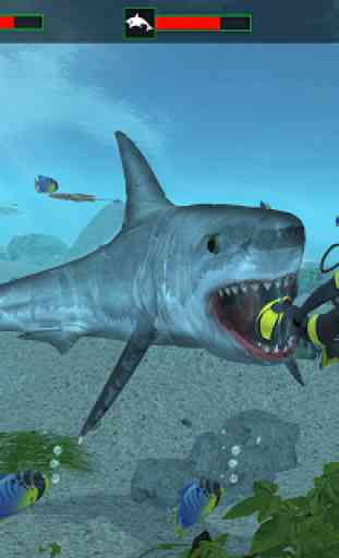 Life of Shark - Hungry Sim 1