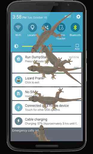 Lizard run in phone prank 3