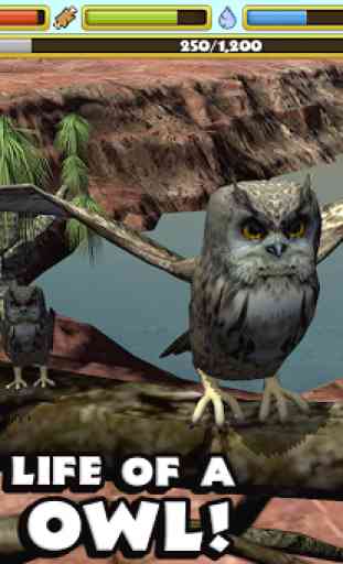 Owl Simulator 1