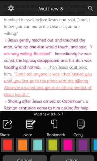 The Remedy Bible 4