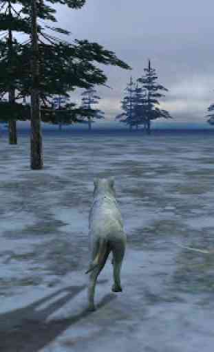White Wolf Simulator 3D 3