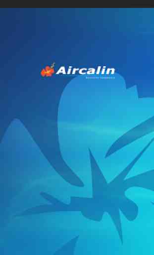 Aircalin Player 2