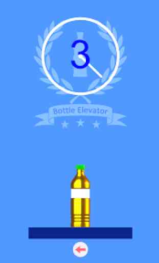 Bottle Flip TOP challenge! 2
