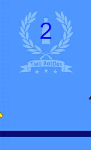 Bottle Flip TOP challenge! 4