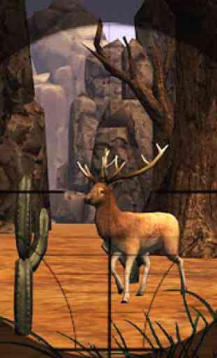 Deer Hunt 2016 1