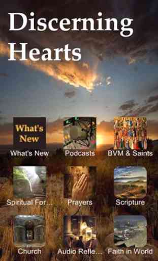 Discerning Hearts 1