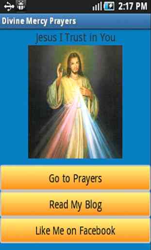 Divine Mercy Prayers 1
