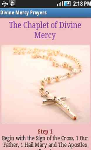 Divine Mercy Prayers 3