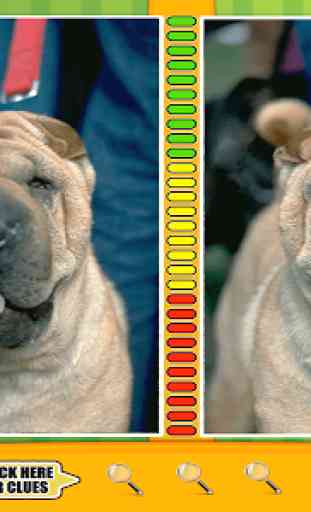 FREE Spot The Difference Dogs 2