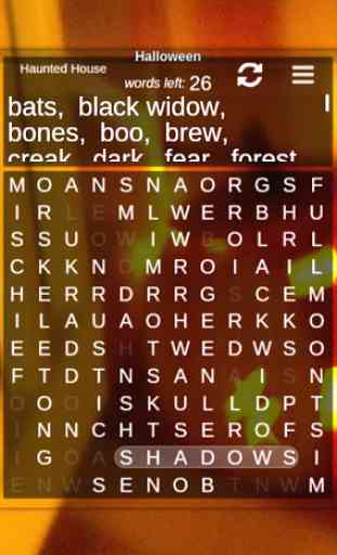 Holiday Word Search Puzzles 4